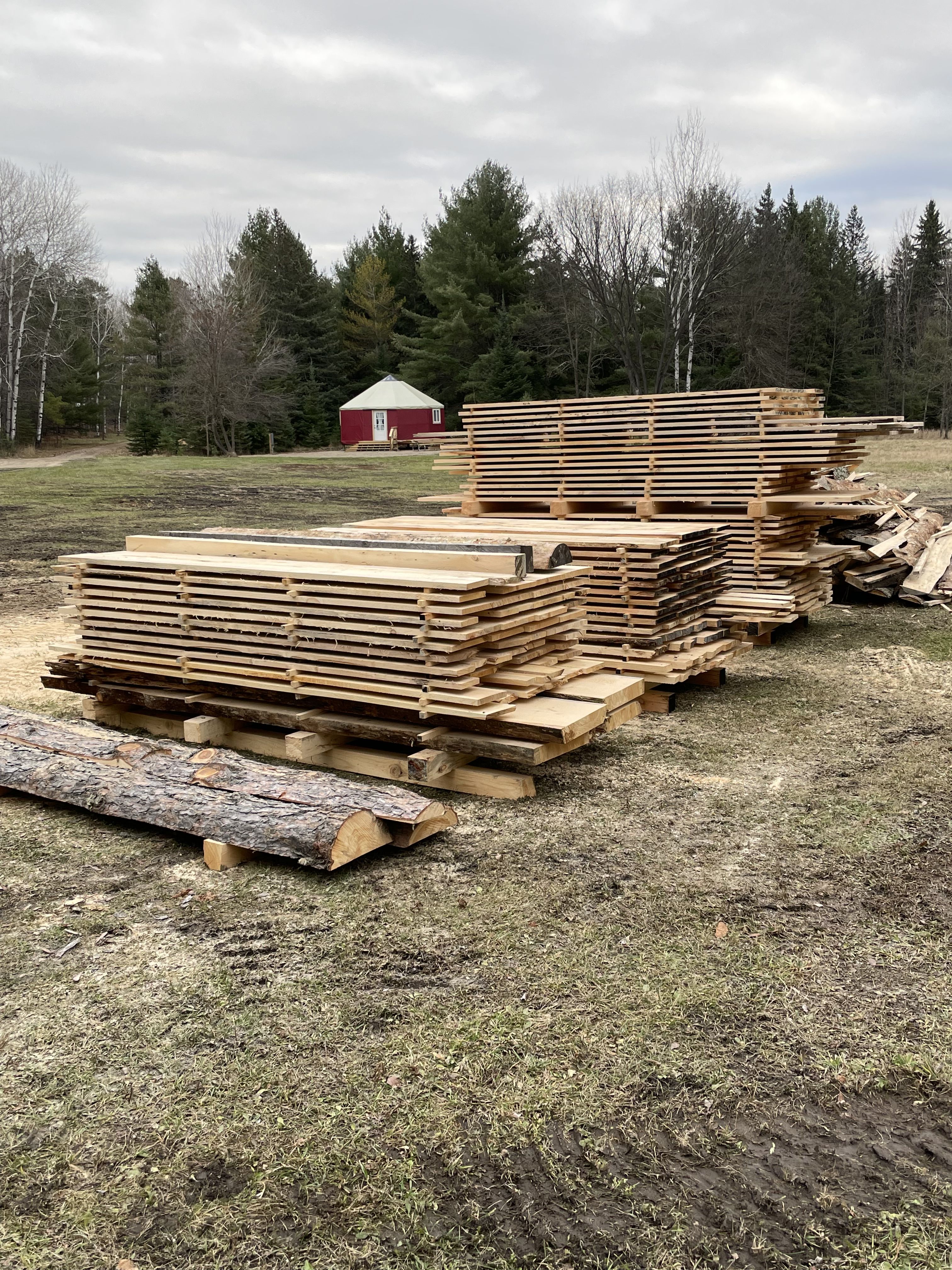 Fall 2023 - Trees removed for progress around the resort, are milled into lumber for future projects.